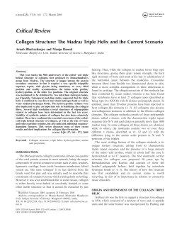 Collagen Structure: The Madras Triple Helix - Prof. Manju Bansal