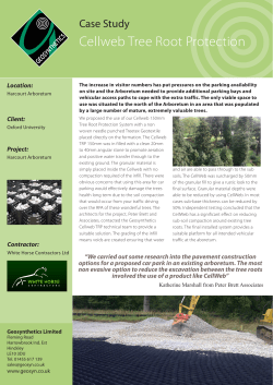 Cellweb Tree Root Protection