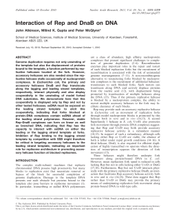 Interaction of Rep and DnaB on DNA