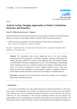 Actin in Action: Imaging Approaches to Study Cytoskeleton Structure