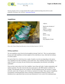 Amphibians Topics in Biodiversity