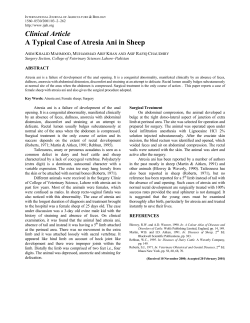 Clinical Article A Typical Case of Atresia Ani in Sheep