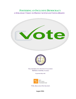 Fostering An Inclusive Democracy: A Strategic Vision to Protect and