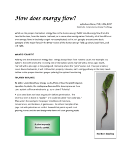 How does energy flow?