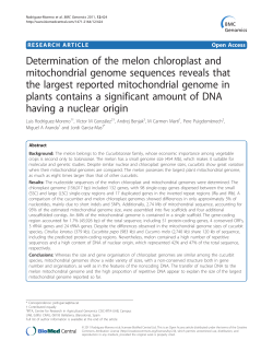 Determination of the melon chloroplast and mitochondrial genome