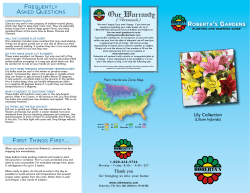 Lily Collection FREQUENTLY ASKED QUESTIONS