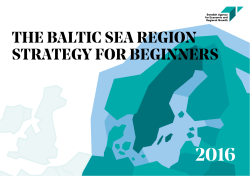 The Baltic Sea Region Strategy for Beginners