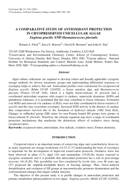 A comparative study of antioxidant protection in