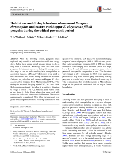 Habitat use and diving behaviour of macaroni Eudyptes