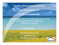 Sodium Bicarbonate Injection for Remediation of Acidic Groundwater