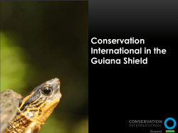 Guyana`s low carbon strategy a sustainable development agenda