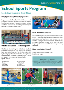 What is the School Sports Program?