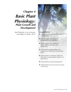 Basic Plant Physiology