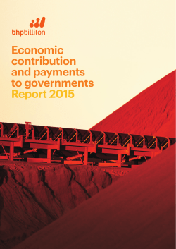 Economic contribution and payments to governments