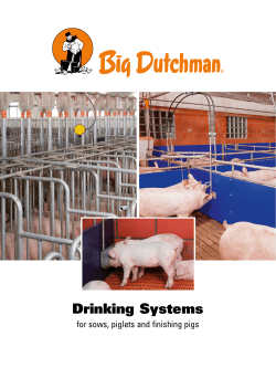 pig production feeding systems drinking systems