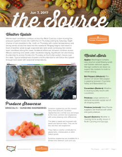 The Source - Premier Produce ONE