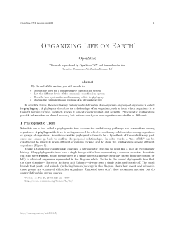 Organizing Life on Earth