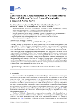 Generation and Characterization of Vascular Smooth Muscle Cell