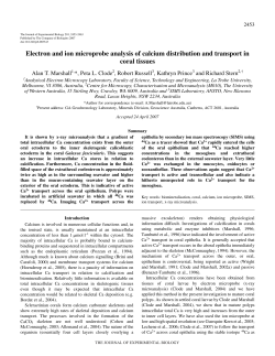 Electron and ion microprobe analysis of calcium distribution and