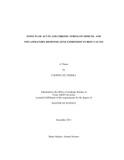 EFFECTS OF ACUTE AND CHRONIC STRESS ON IMMUNE