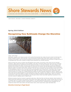 Spring 2016 &ndash; How Bulkheads Change the Shoreline