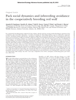 Pack social dynamics and inbreeding avoidance