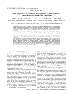 Plant Respiration and Elevated Atmospheric CO2