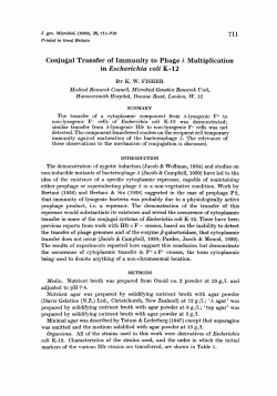Conjugal Transfer of Immunity to Phage A