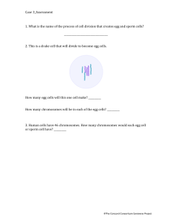 Case 3_Assessment 1. What is the name of the process of cell