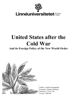 United States after the Cold War