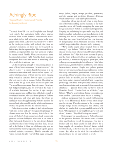 Achingly Ripe - Rowan Jacobsen