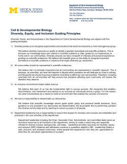 Diversity Equity and Inclusion Guiding Principles