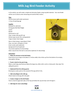 Milk Jug Bird Feeder Activity