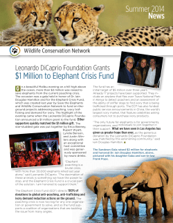$1 Million to Elephant Crisis Fund