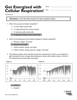 Get Energized with Cellular Respiration!
