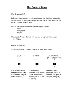 The Perfect Tense