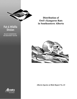 No. 63 - Distribution of Ord`s Kangaroo Rats in Southeastern Alberta