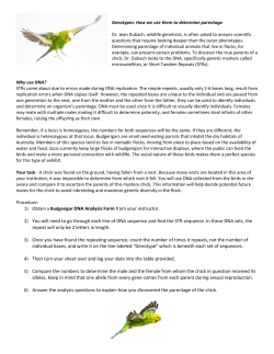 Budgerigar DNA Analysis Form from your instructor. 2) You will need
