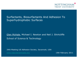 US Adhesion Society February 2011