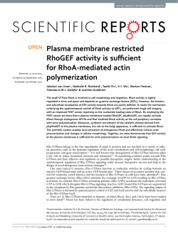 Plasma membrane restricted RhoGEF activity is sufficient for RhoA