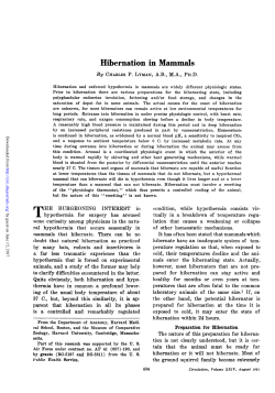 Hibernation in Mammals