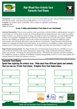 Food Chains - the High Weald
