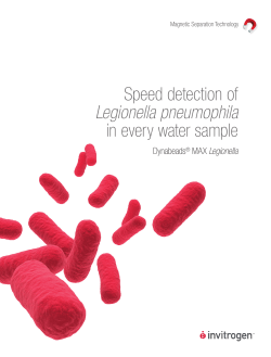 Speed detection of Legionella pneumophila in every water sample