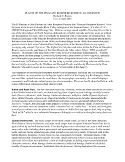 Pinacate plant communities