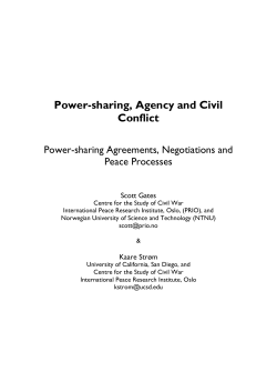 Power-Sharing, Agency and Civil Conflict