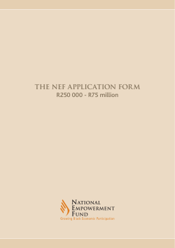 THE NEF APPLICATION FORM R250 000