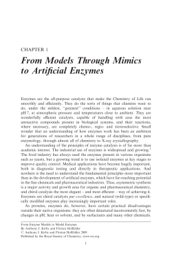 From Models Through Mimics to Artificial Enzymes