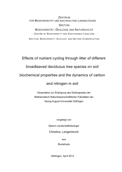Effects of nutrient cycling through litter of different broadleaved