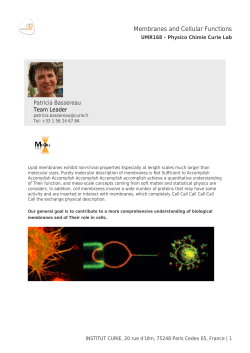 Exporter la page en pdf