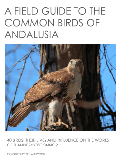 a field guide to the common birds of andalusia